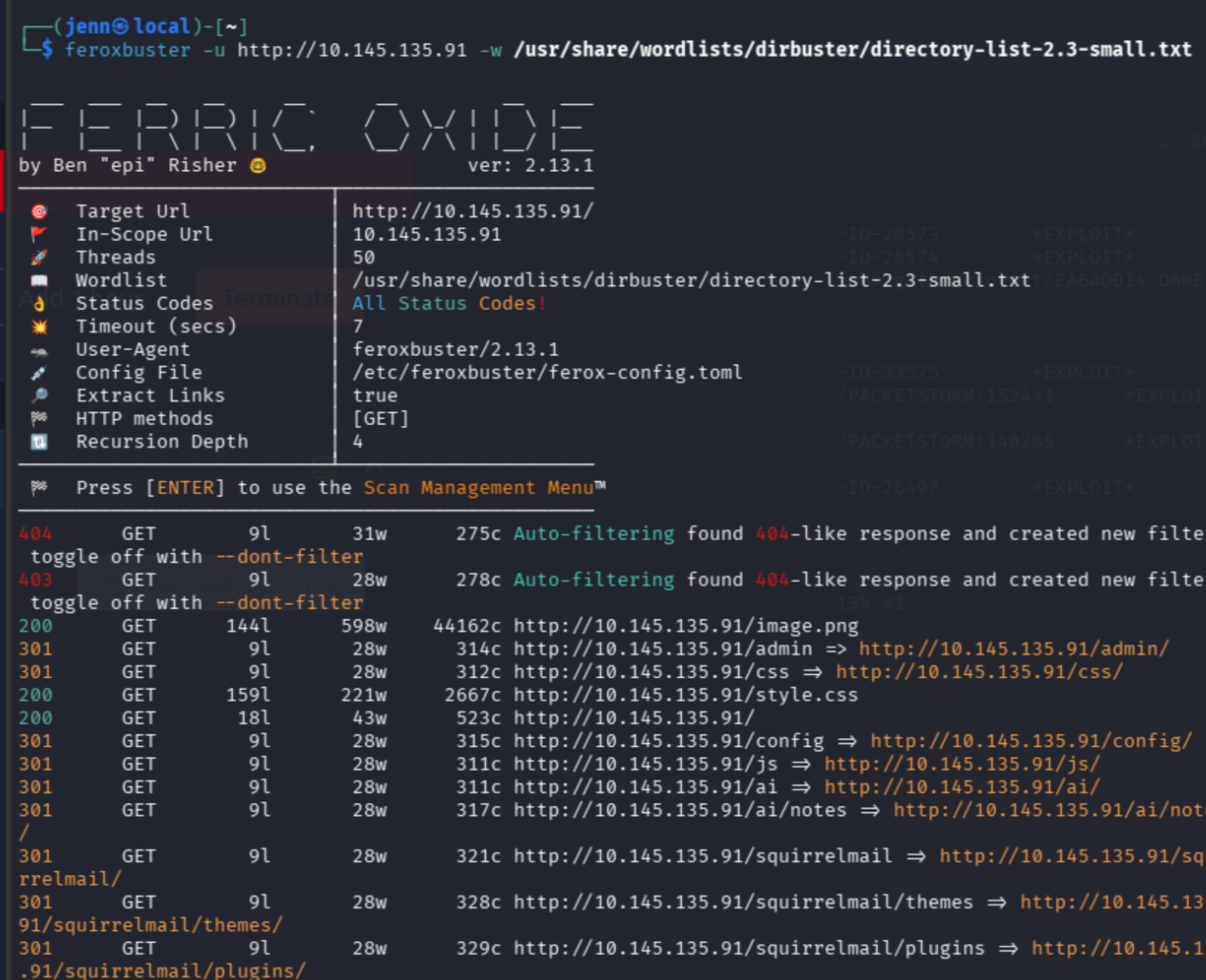 feroxbuster output showing /admin/, /ai/, and /squirrelmail/ returning 301